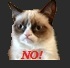 :grumpycat: