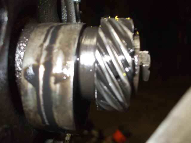 003-7.jpg