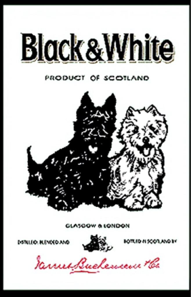 017621672169971b1931069bccb3d0e0.jpg