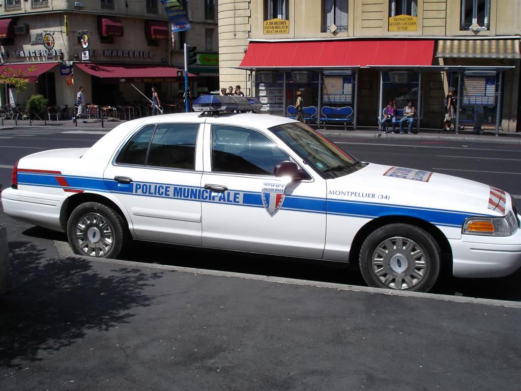 08305f277a.jpg
