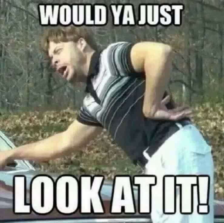 0oZfNhB.jpg