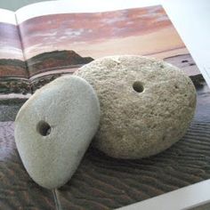 121524da73f1c279e109f41ab236388d--bush-garden-rock-crafts.jpg