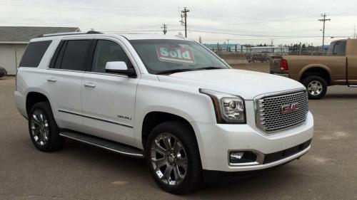 16 denali.jpg