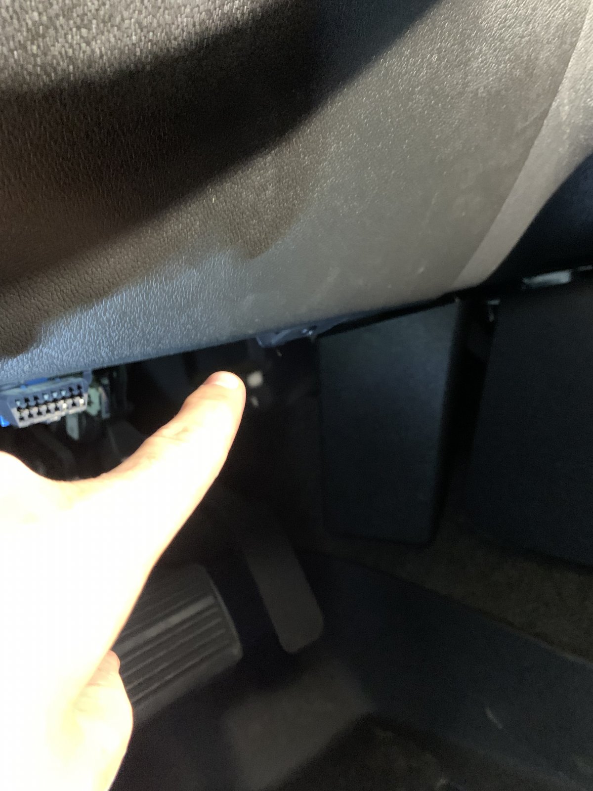 1661200725575.jpeg