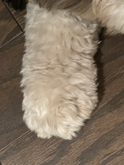 1706098758286.png
