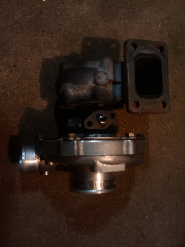 2009-10-12233811.jpg