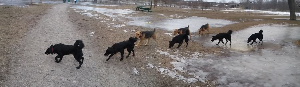 2011-02-20085340.jpg
