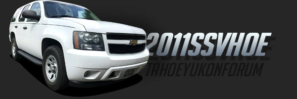 2011svhoe.jpg