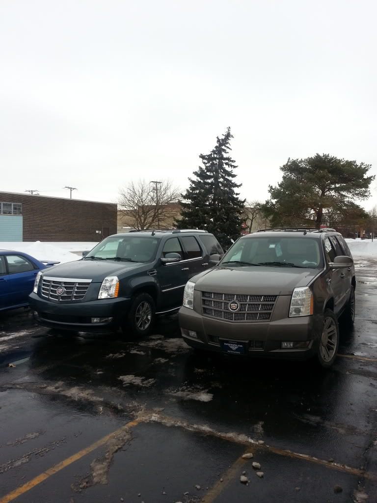 20140104_120830_zps2a6168ec.jpg