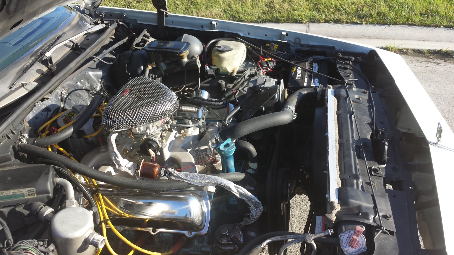 20140217_164506.jpg