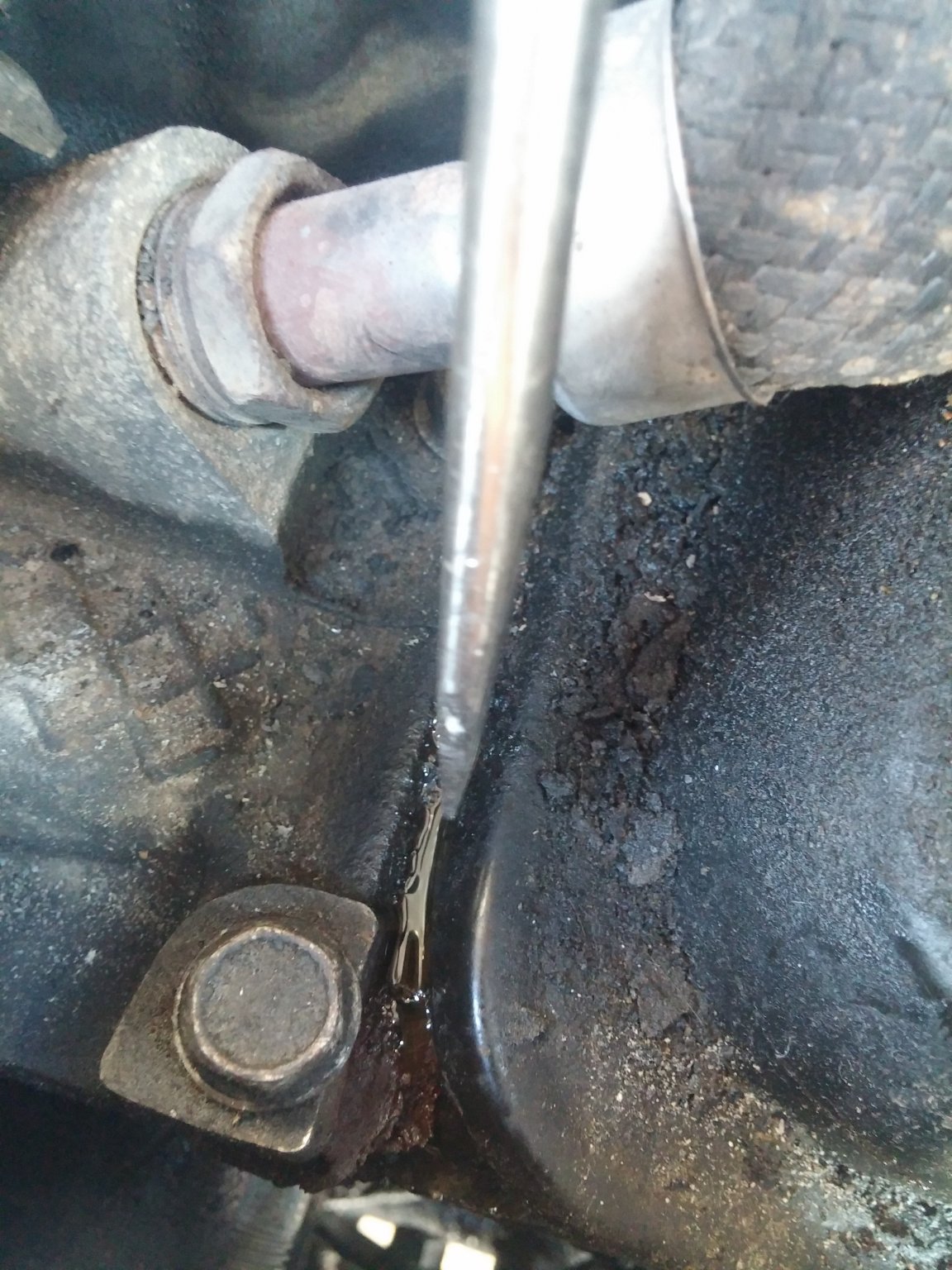 20160304_161029.jpg