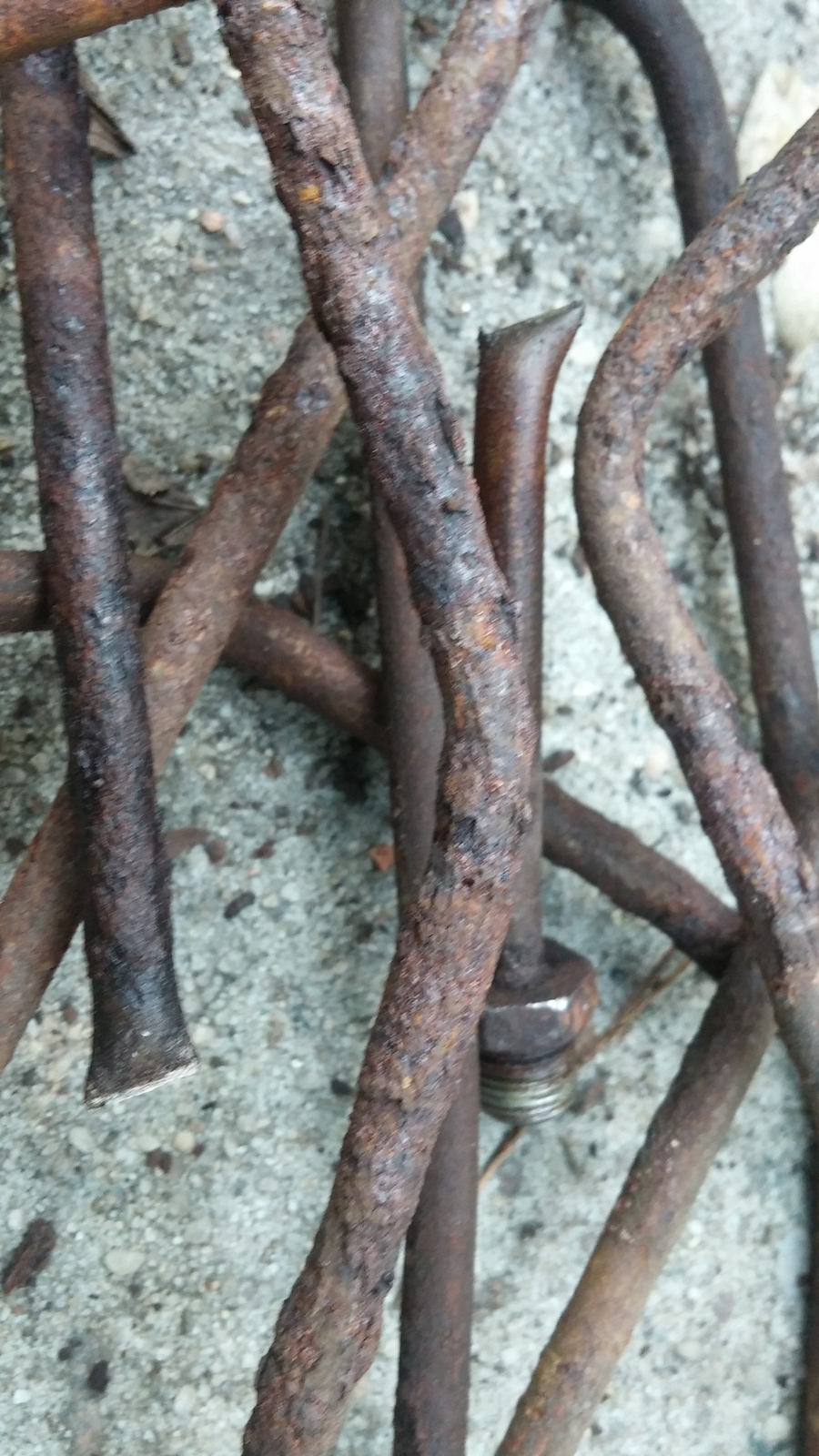 20160415_185123.jpg