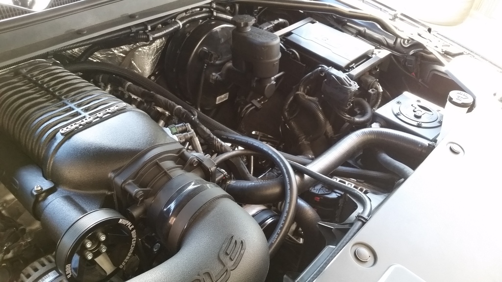 20160618_155932.jpg