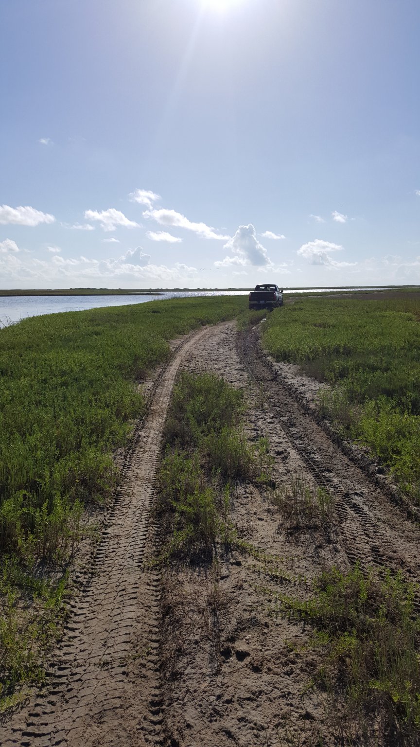 20160717_085945.jpg