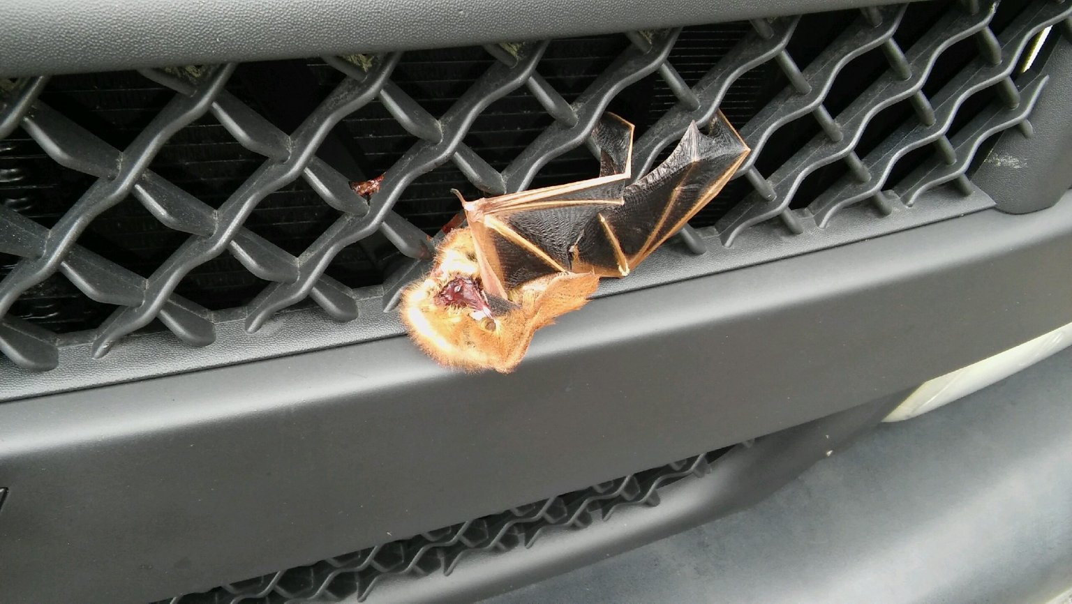20160928_111407.jpg