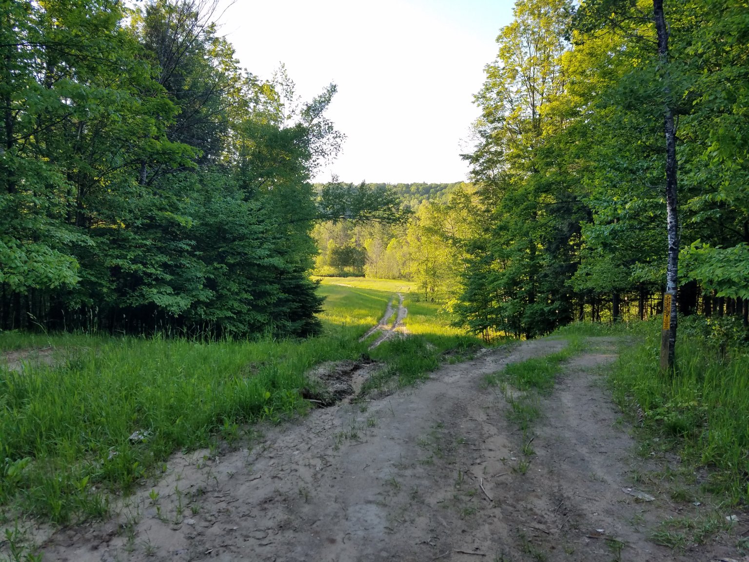 20170605_195919.jpg