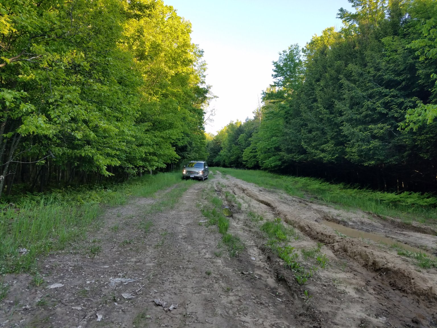 20170605_195924.jpg
