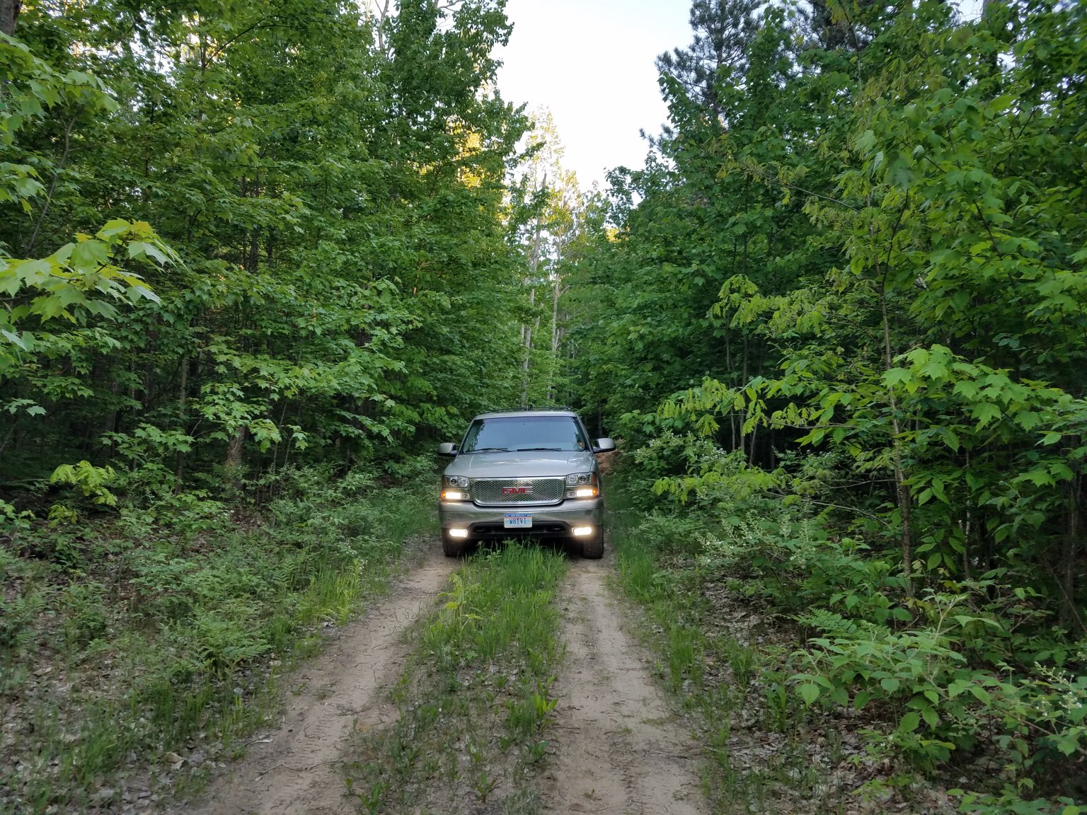 20170605_202856.jpg