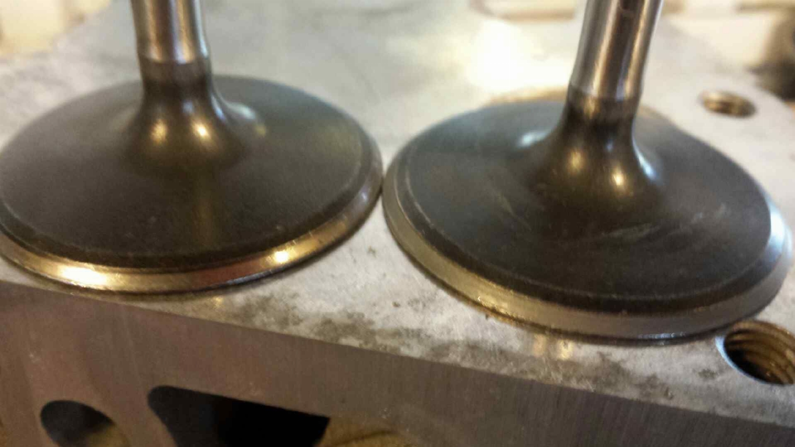 20171020_140310_zpsuj6dtxfg.jpg