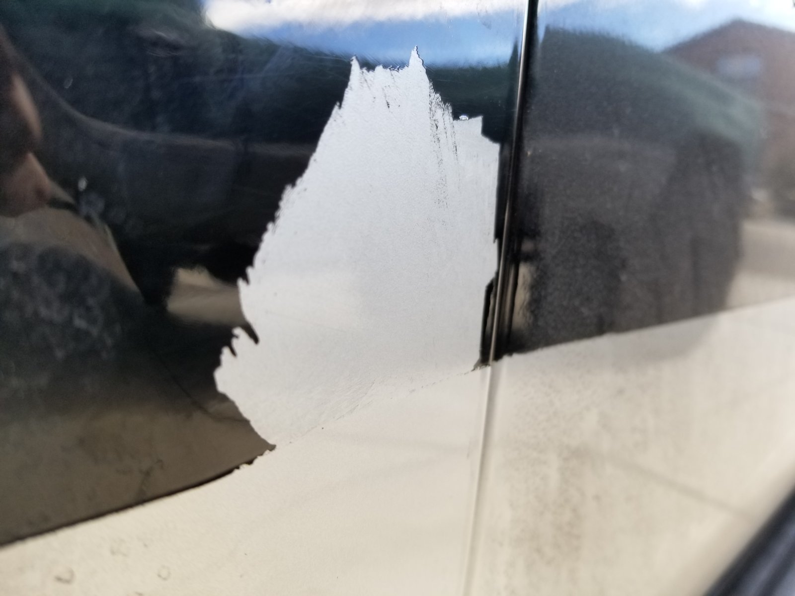 20180219_111446.jpg