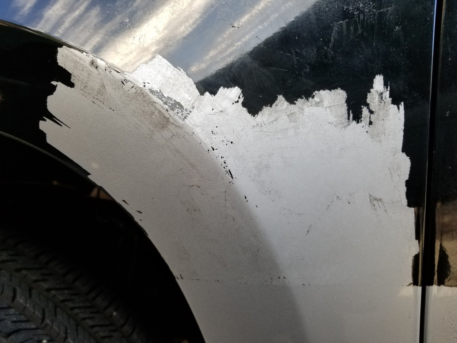 20180219_151119.jpg