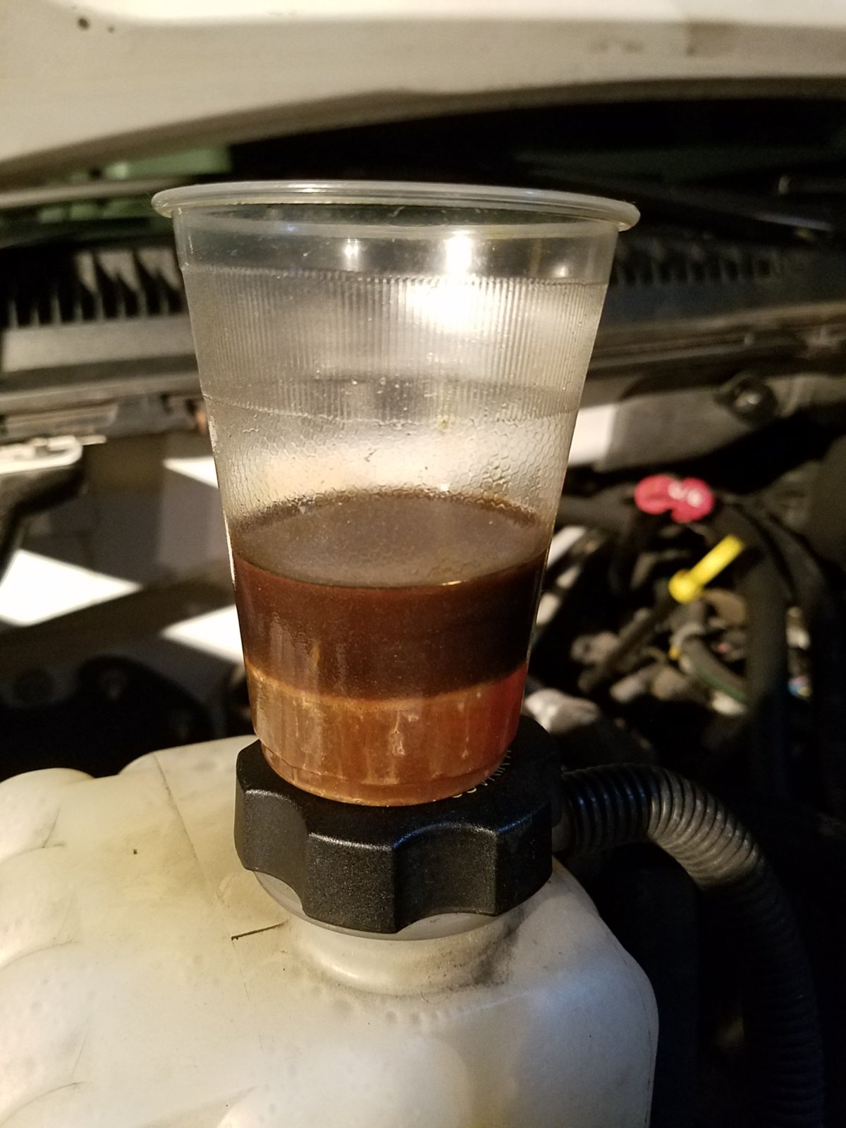 20180227_184718.jpg