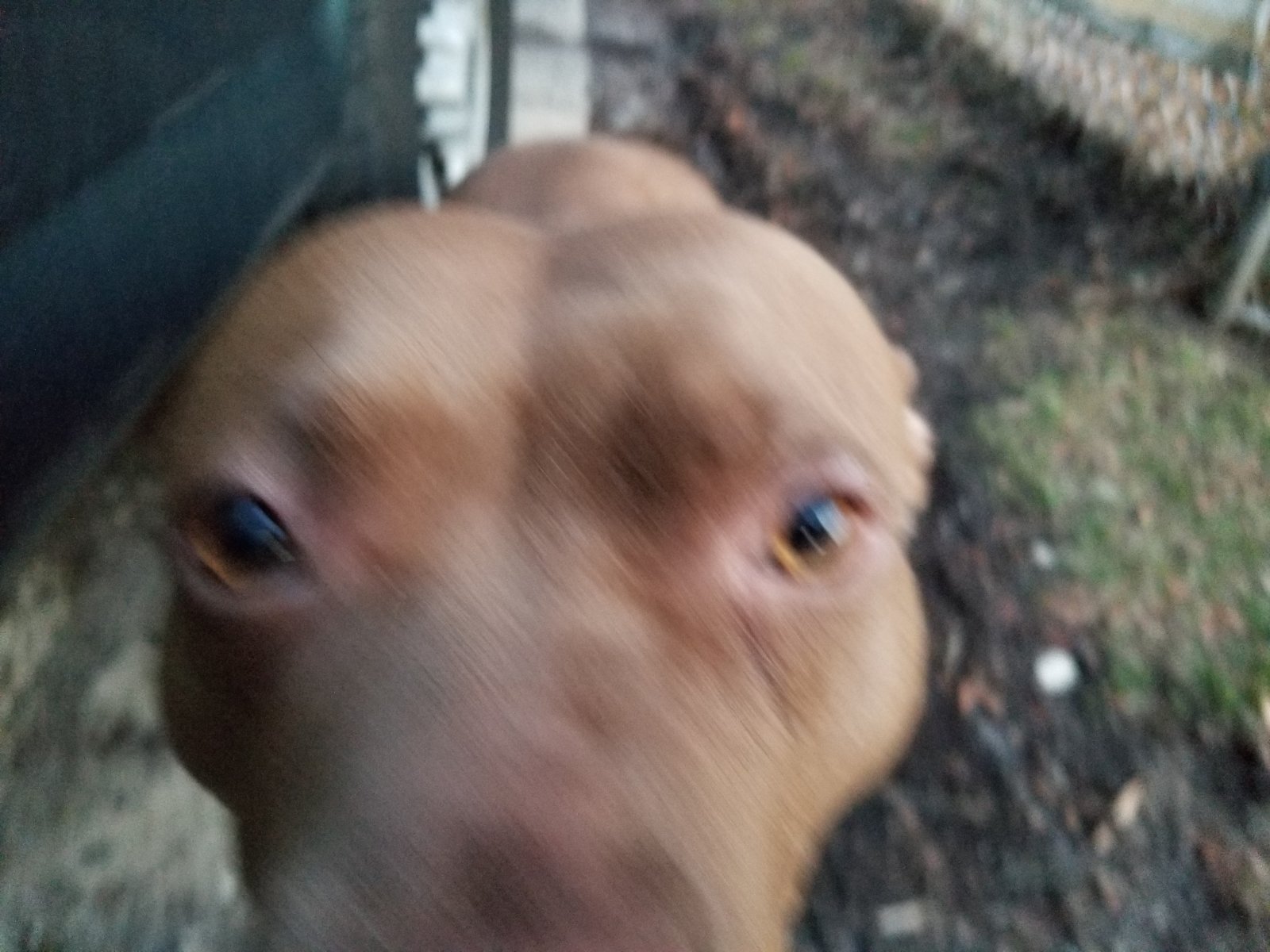 20180228_175436.jpg