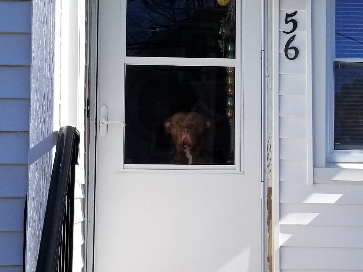 20180311_195838.jpg