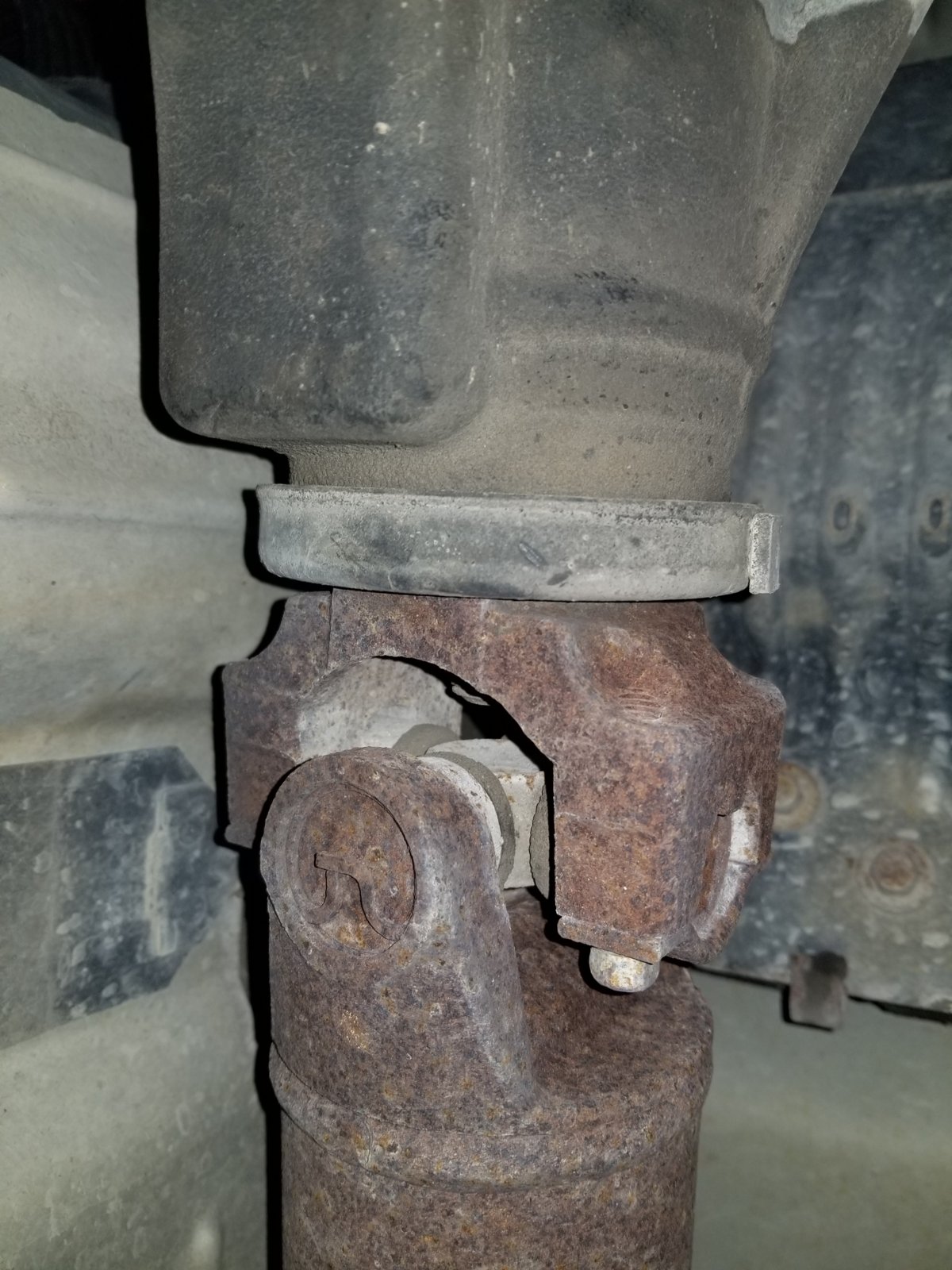 20180424_131726.jpg