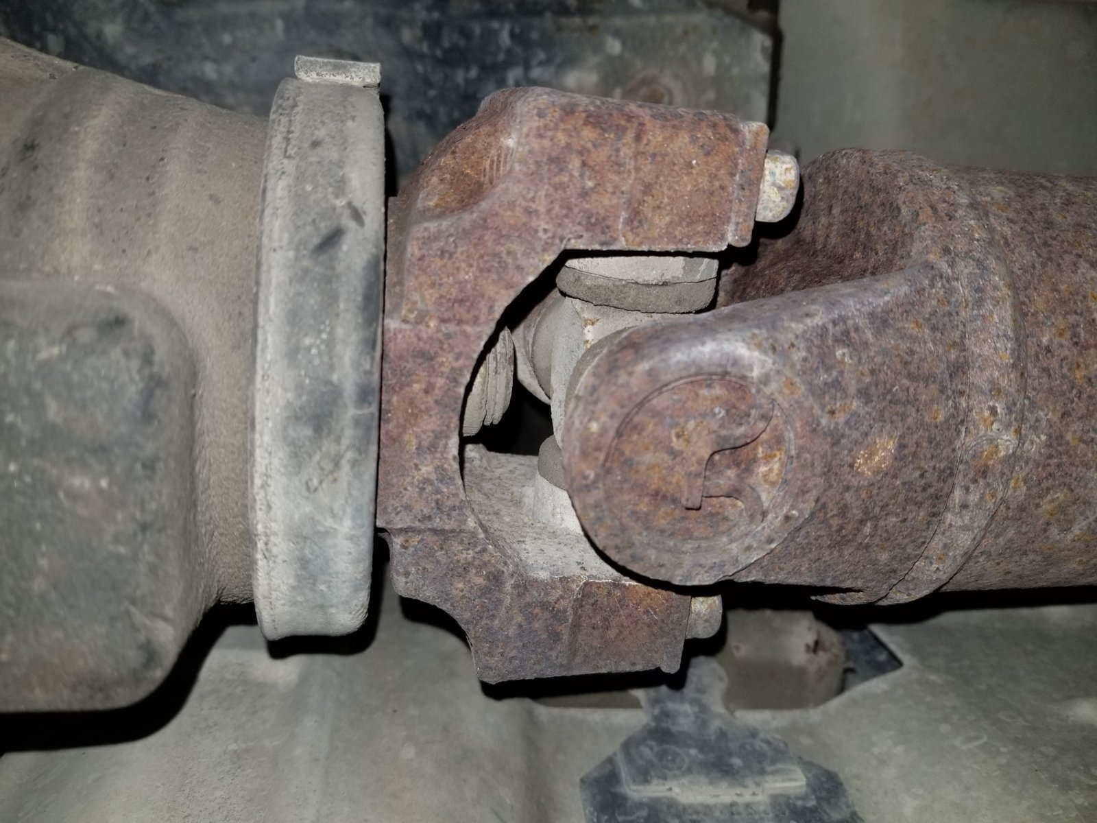 20180424_131738.jpg