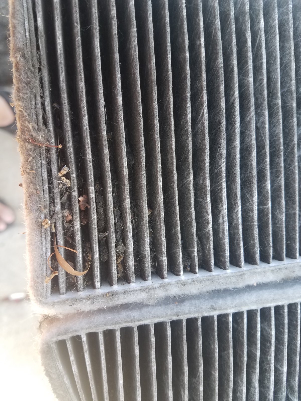 20180704_132011.jpg