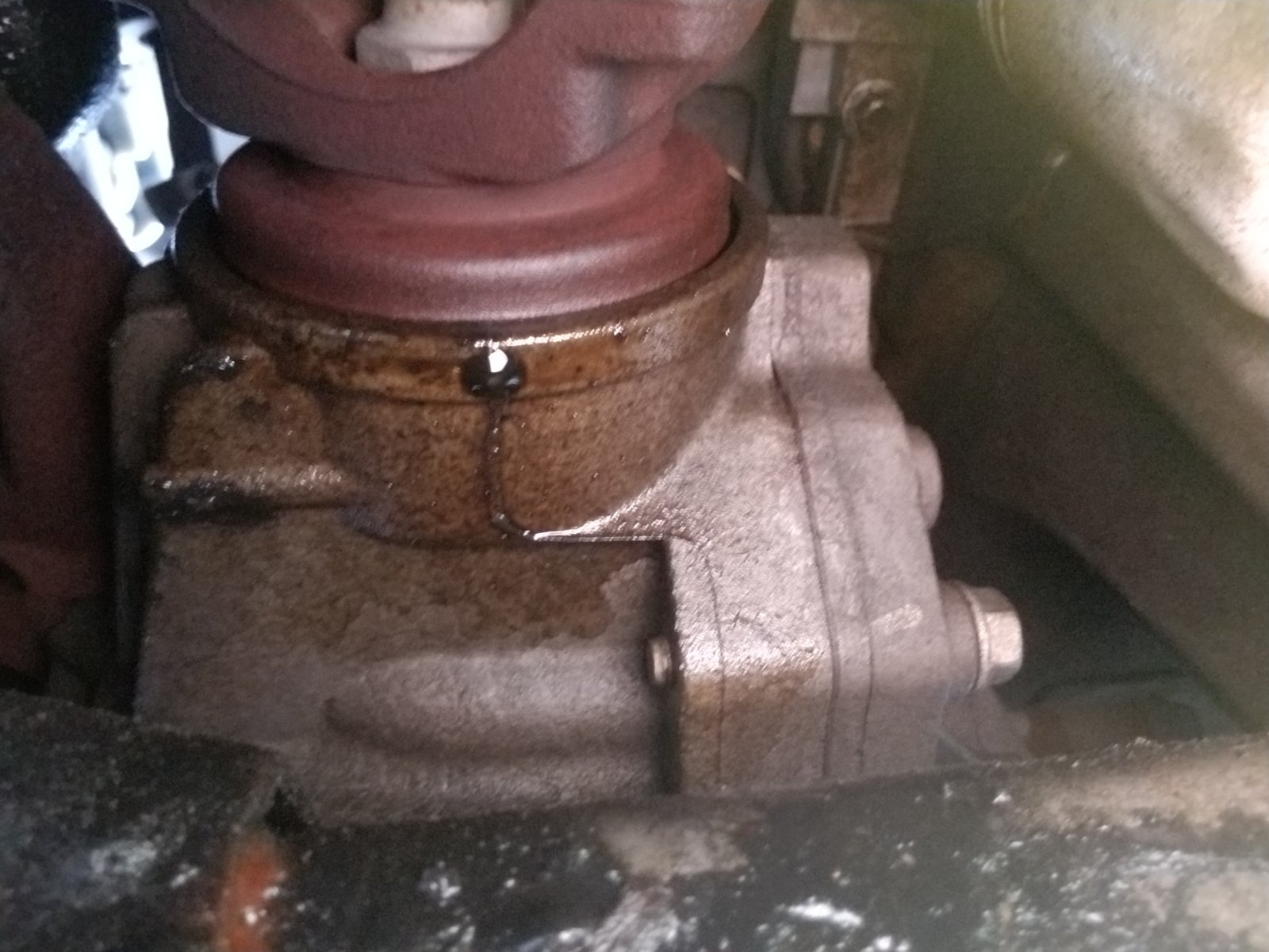 20180731_175401.jpg