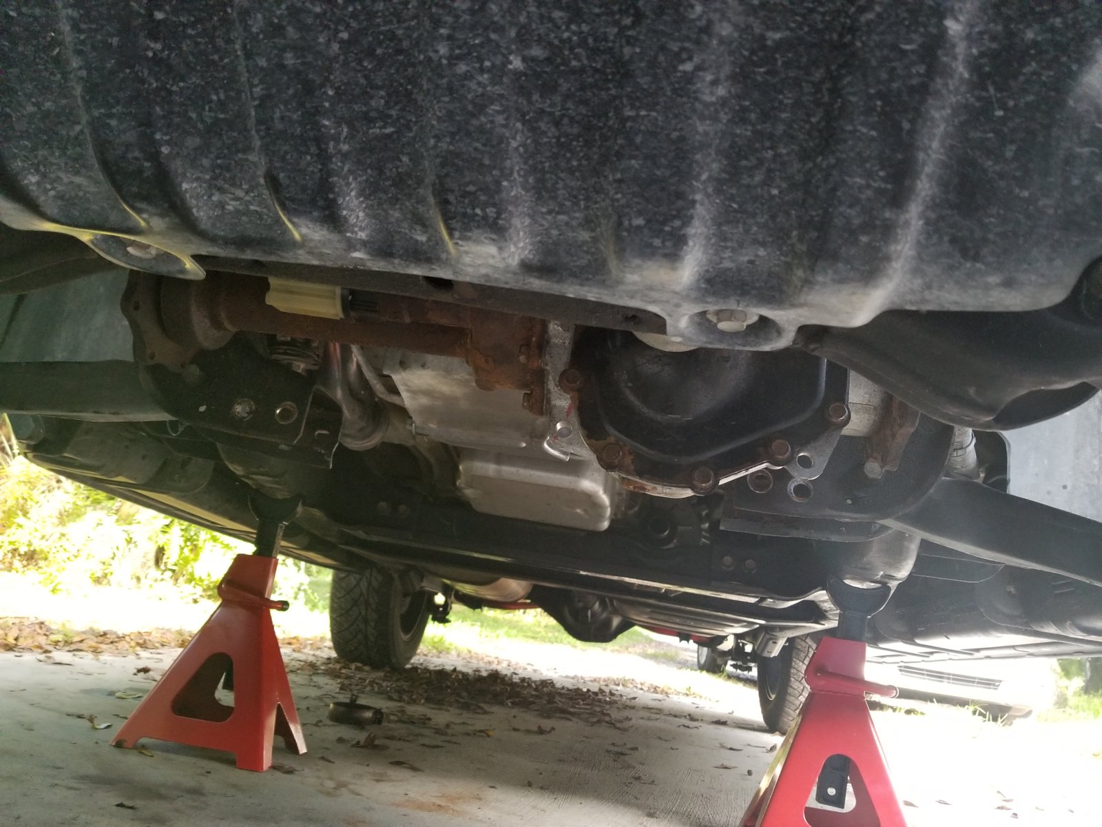 20180922_164104.jpg