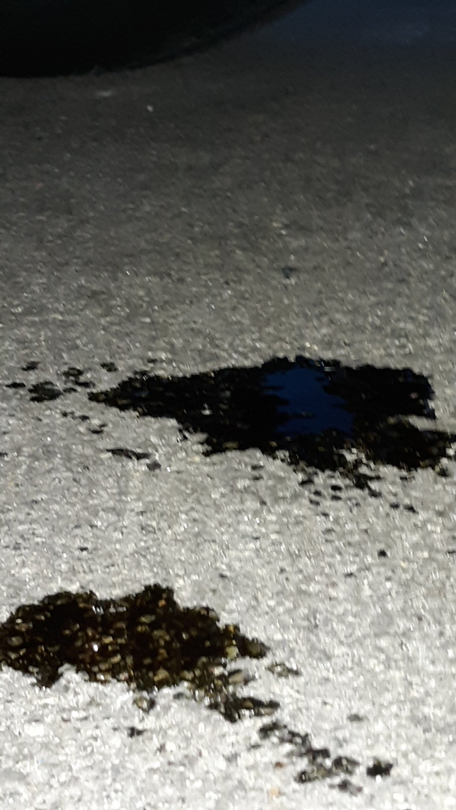 20190127_172708.jpg