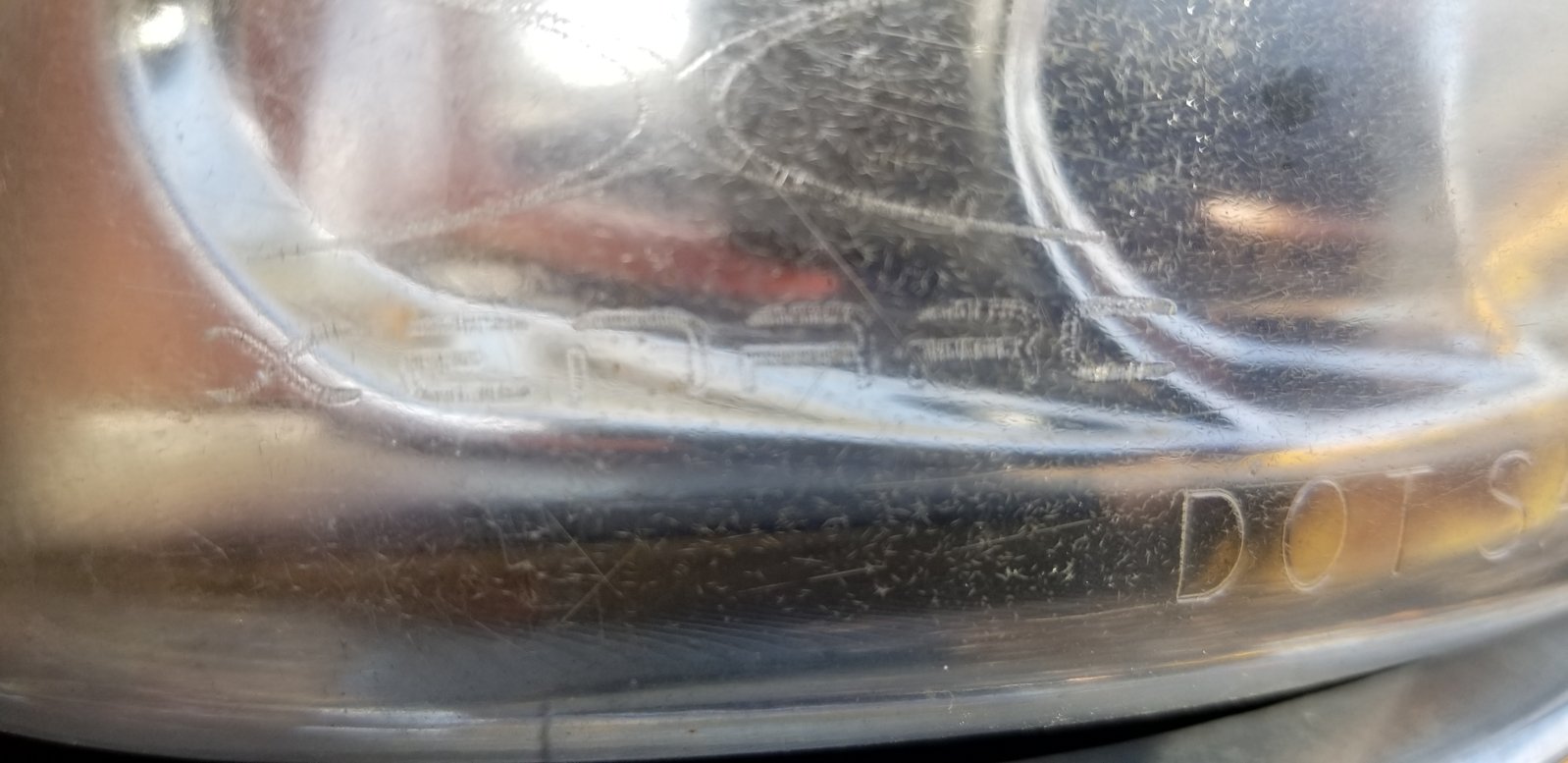 20190205_091842.jpg