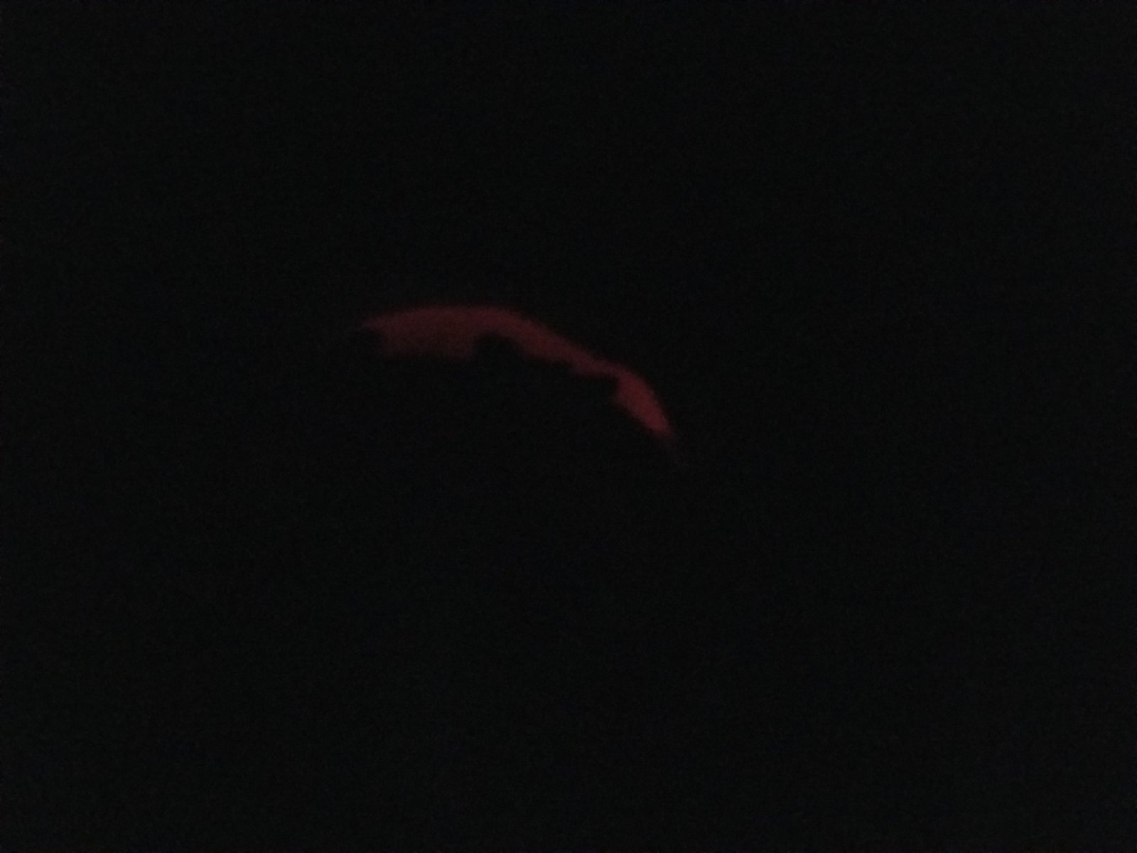 20190411_203026.jpg