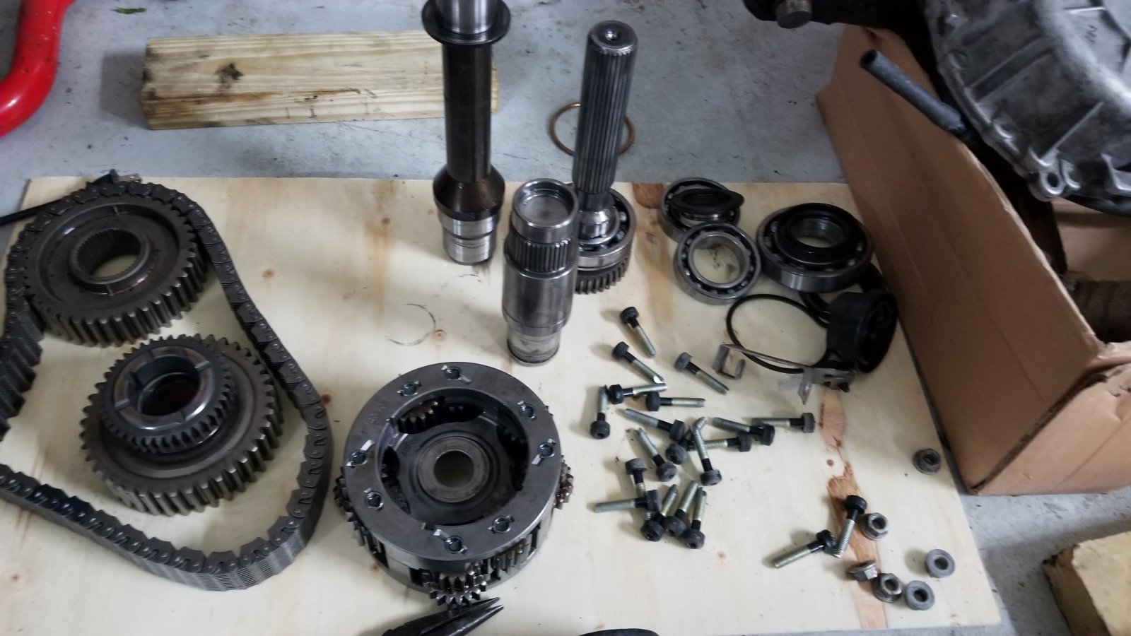 20190505_160347.jpg