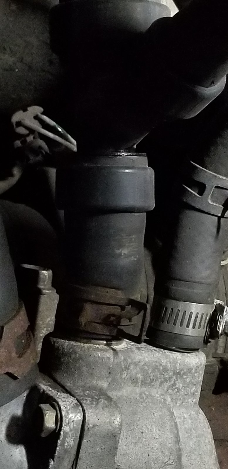 20190607_143141.jpg