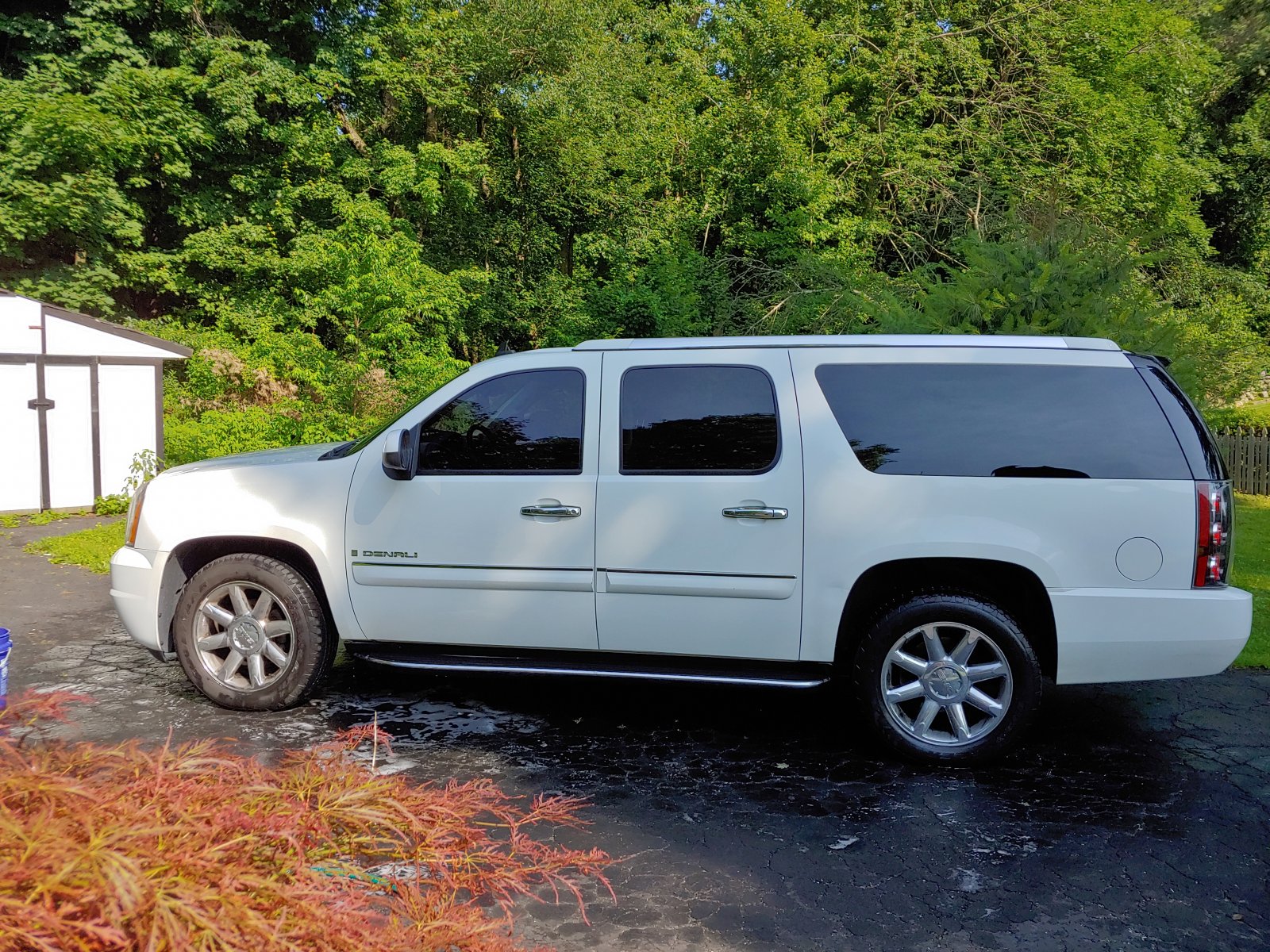 20190622_092106_HDR.jpg