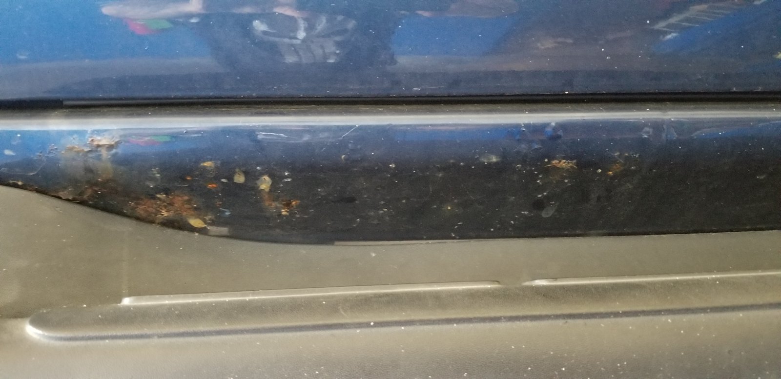 20190824_084504.jpg