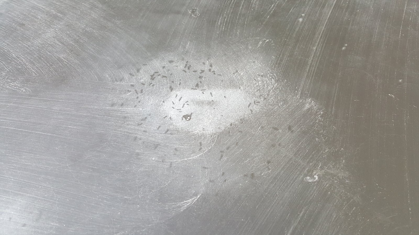 20190914_115237.jpg