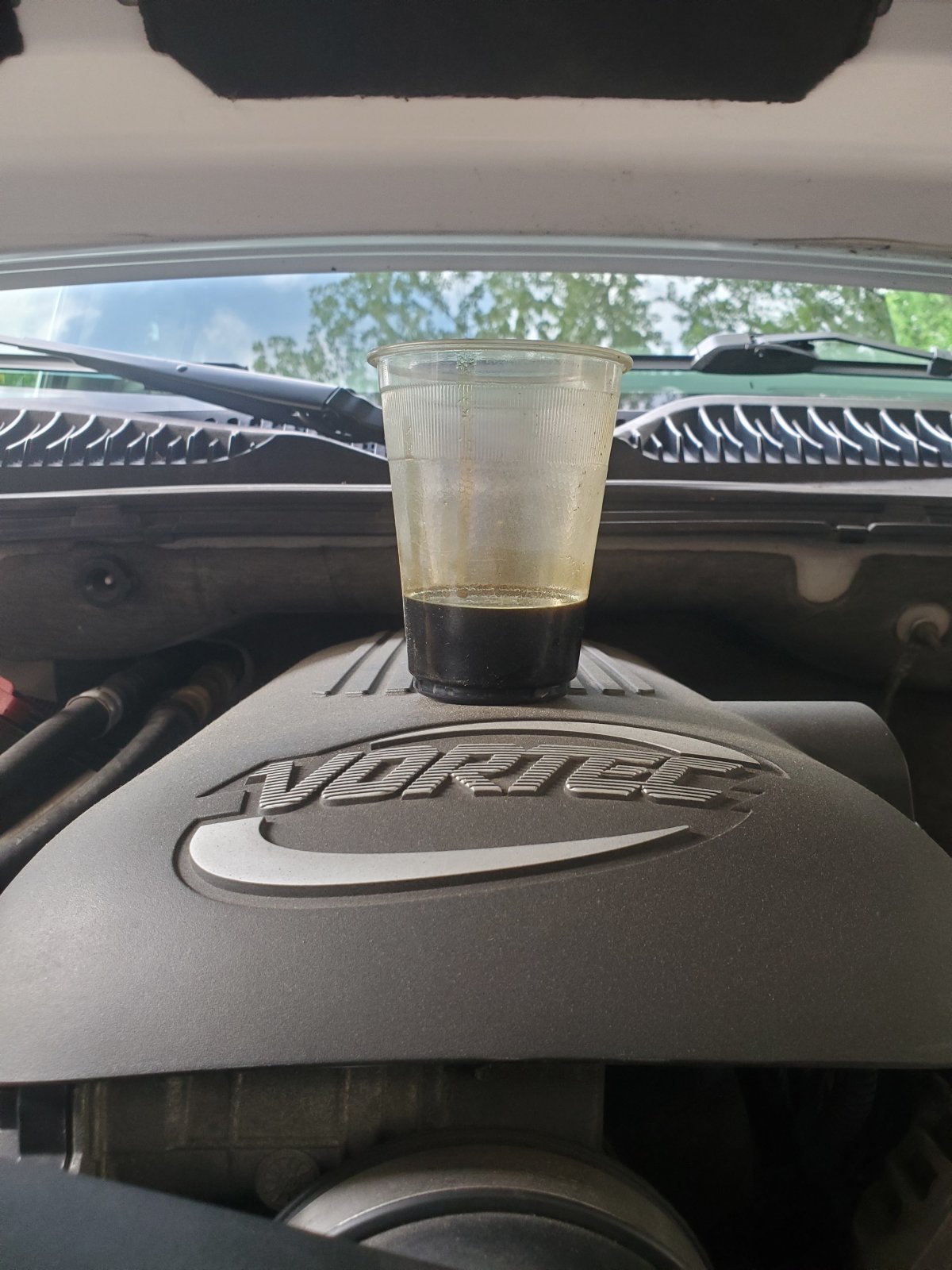 20191001_171526.jpg