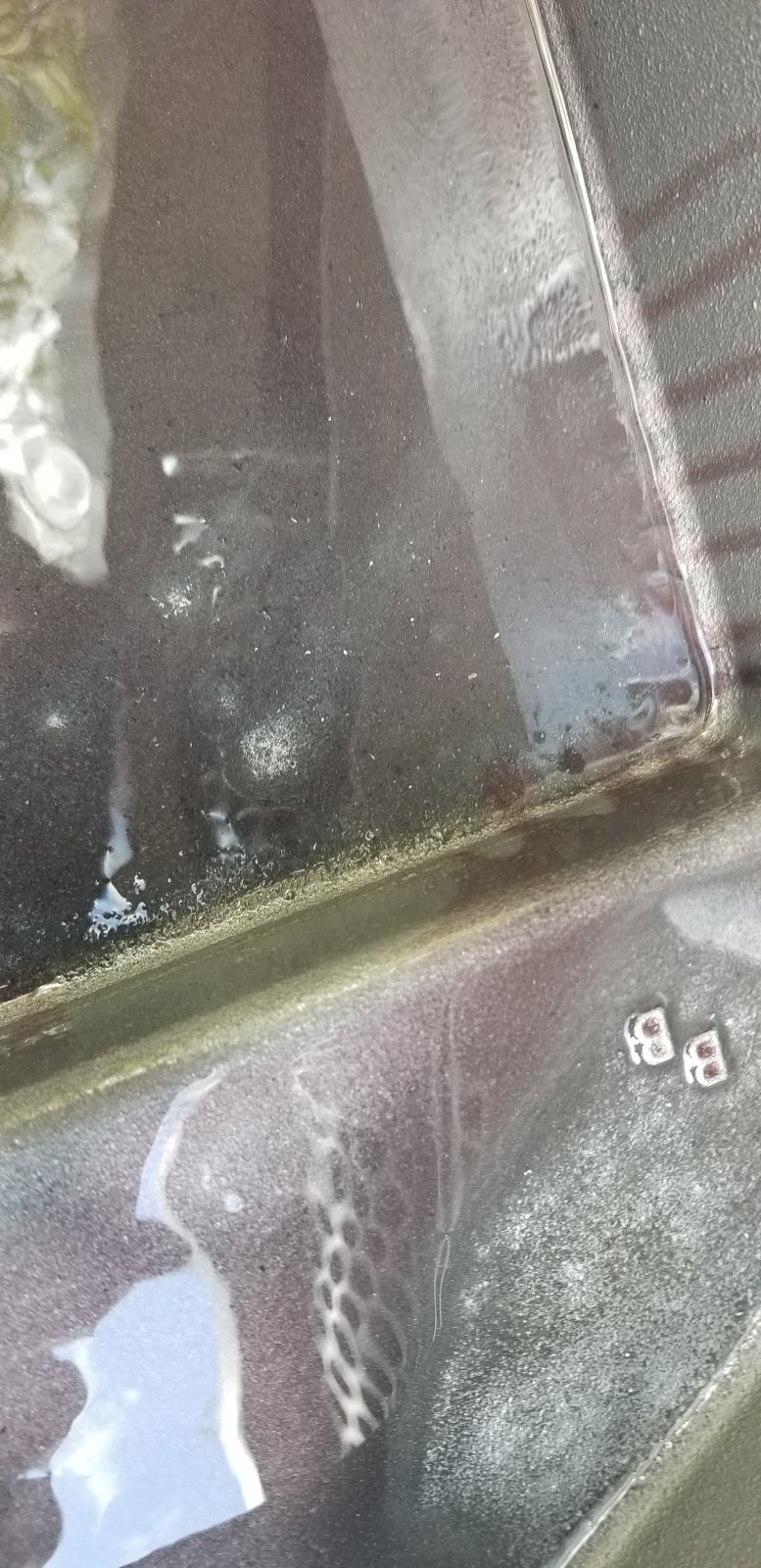 20191129_145007.jpg