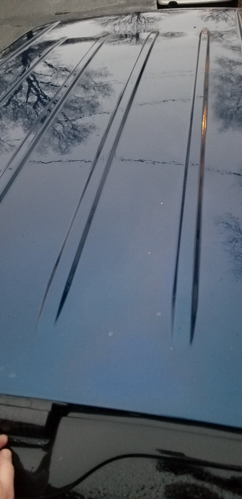 20210126_171556.jpg