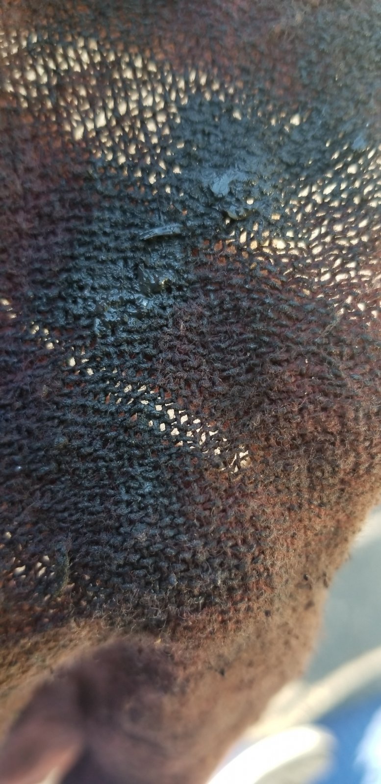 20210515_172740.jpg