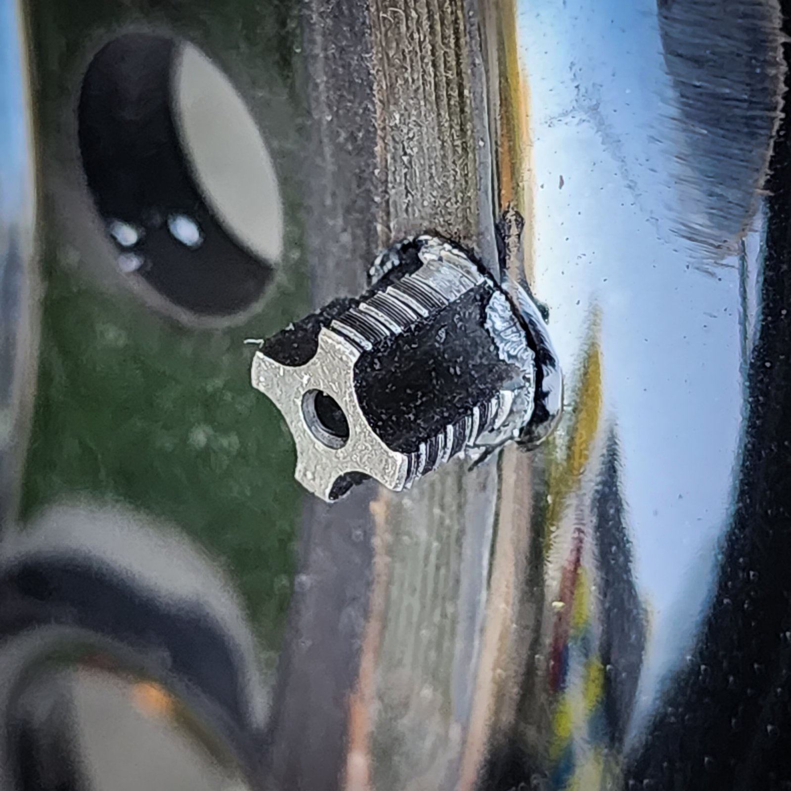 20230412_192403.jpg