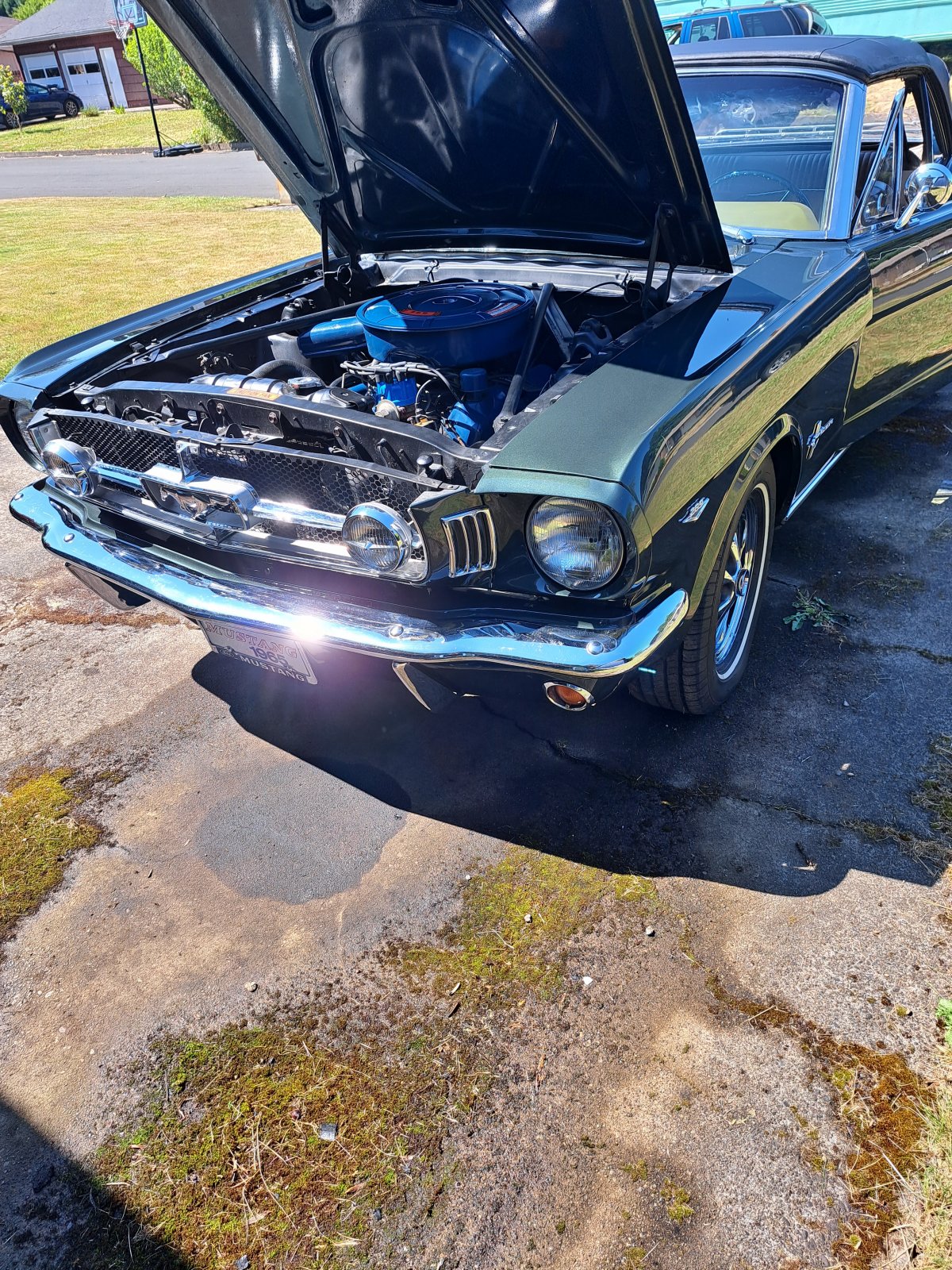 20230623_154342.jpg
