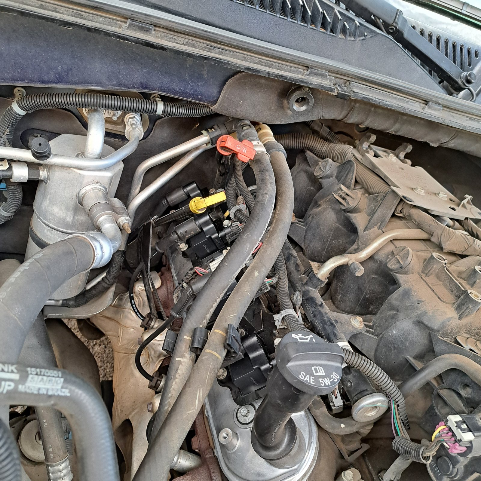 20250716_095253.jpg
