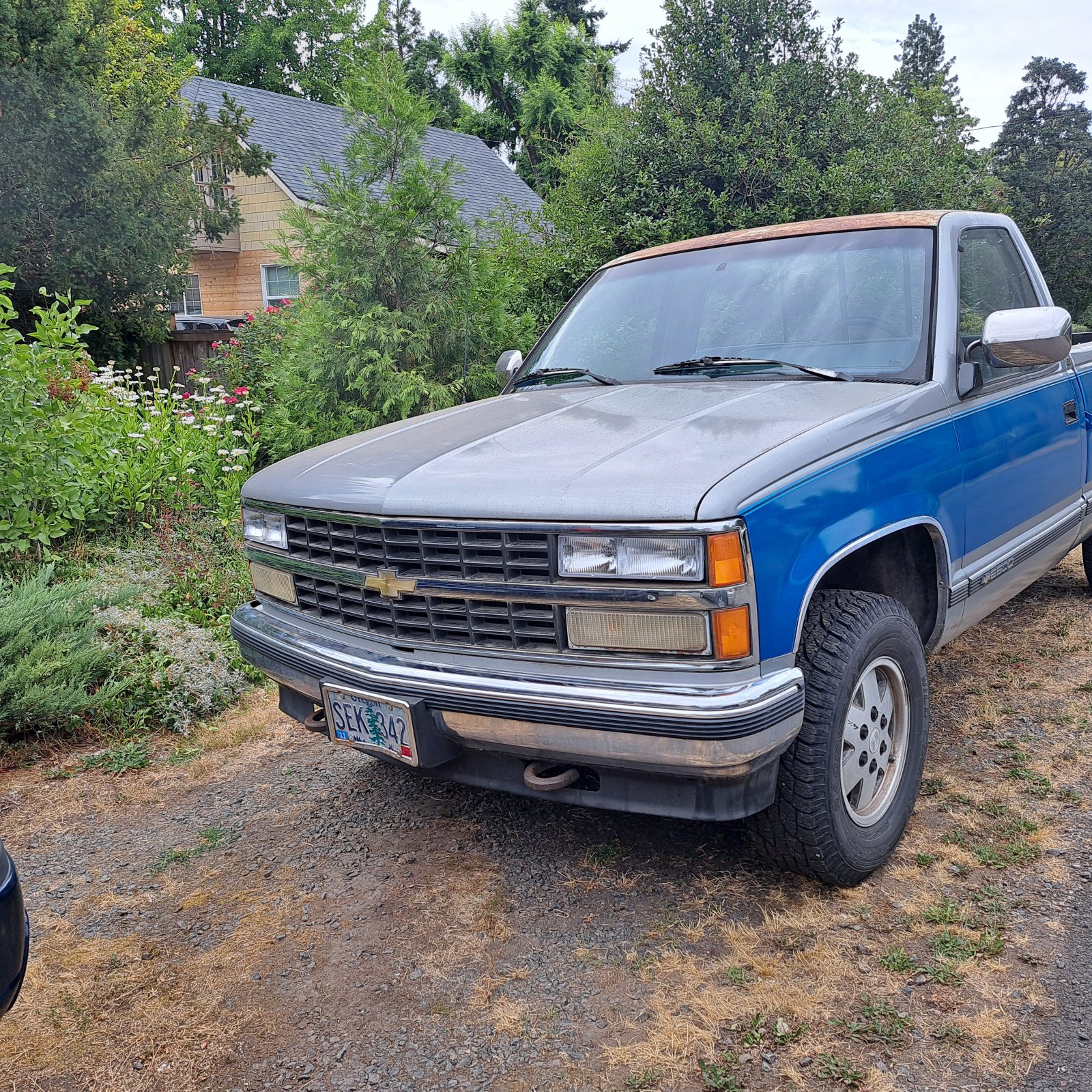 20250720_173620.jpg
