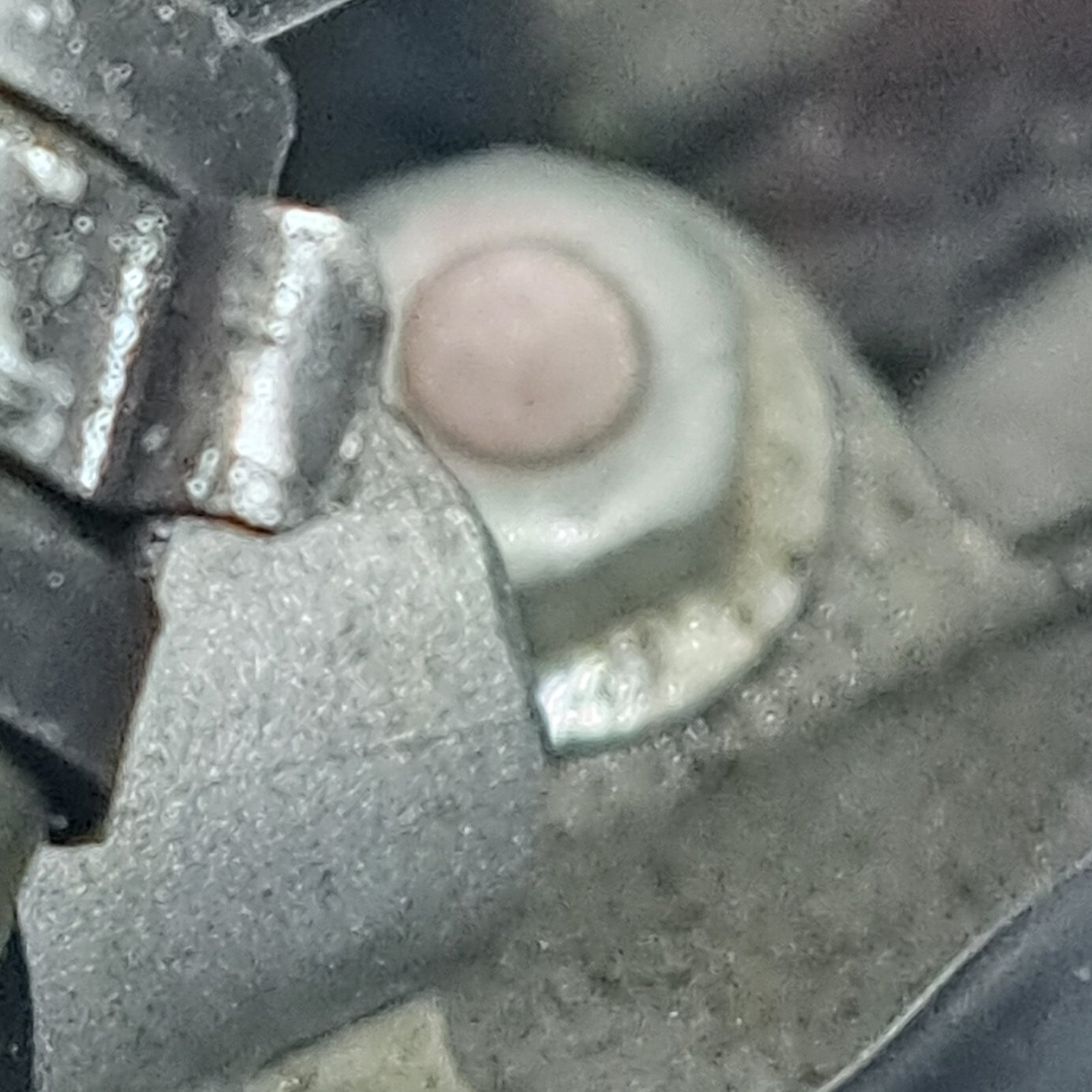 20260404_122058.jpg